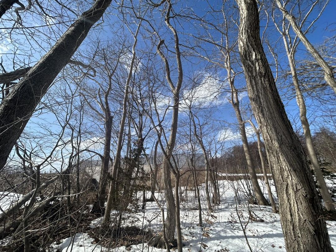 Land for Sale in Chitose, Hokkaido - 519 sqm - Thumbnail 2