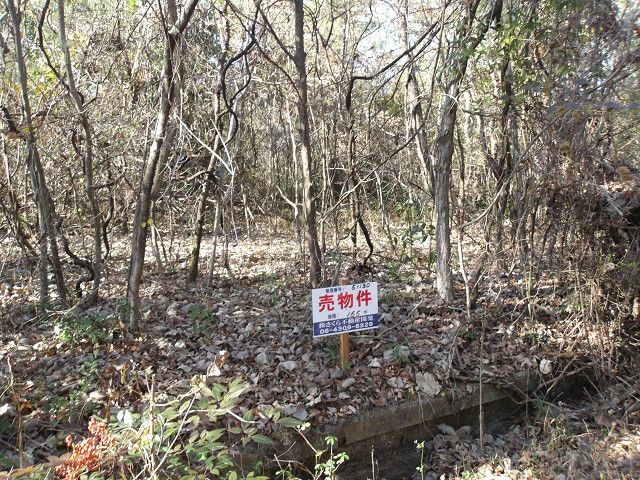 Land for Sale in Tsukuba, Ibaraki - 166 sqm Plot - Thumbnail 3