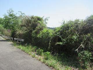 Vacant Land for Sale in Nikko, Tochigi - 149 sqm Plot - Thumbnail 4
