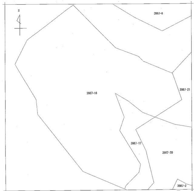 9821 sqm Sloping Land for Sale in Isumi City, Chiba - Main Image