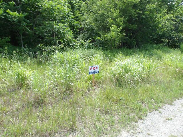 Land for Sale in Minami-ku, Sapporo, 515 sqm - Thumbnail 3