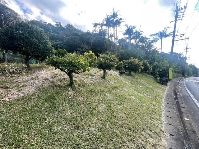 1231 sqm Land for Sale in Motobu, Okinawa - Residential Plot - Thumbnail 3