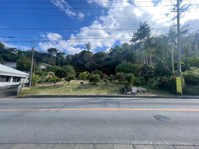 1231 sqm Land for Sale in Motobu, Okinawa - Residential Plot - Thumbnail 2