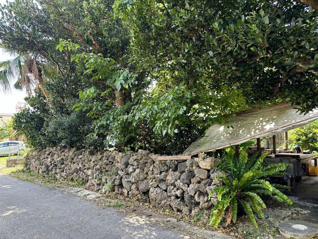 3LDK House with Large Land and Warehouse in Ishigaki - Image 11