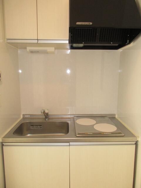 Park Side Residence Apartment for Rent in Hanno City, Saitama - Thumbnail 3
