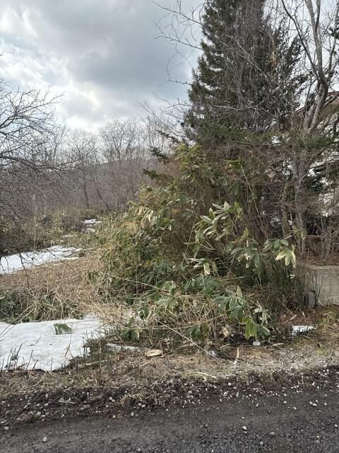 Vacant Land for Sale in Nanae Town, Hokkaido - 273 sqm Plot - Thumbnail 4