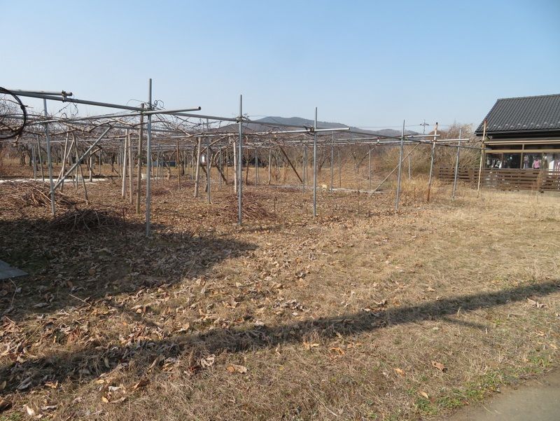 Vacant Land for Sale in Kasama, Ibaraki - 540 sqm - Thumbnail 3