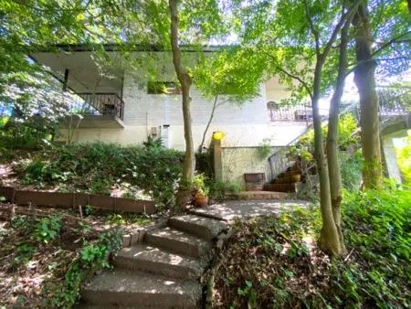 Renovated House with Mount Fuji Views in Shizuoka - Thumbnail 3