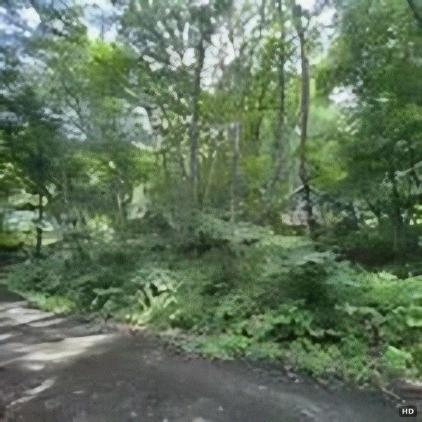 242 Tsubo Land in Kikyogaoka Pension Village, Katashina, Gunma - Thumbnail 3