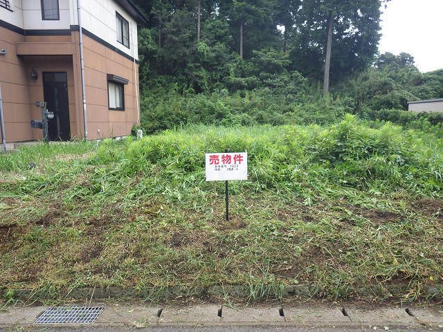 188 sqm Flat Residential Land for Sale in Ichihara, Chiba - Thumbnail 2