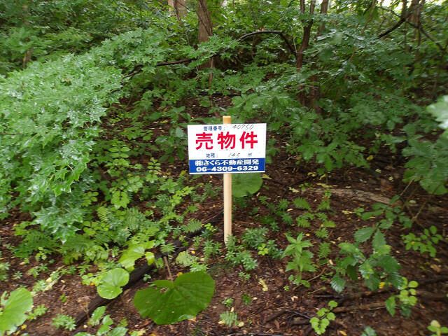 Land for Sale in Minami-ku, Sapporo, Hokkaido - 145 sqm - Thumbnail 2