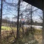 1998 Log House in Hokuto, Yamanashi - 61.79 sqm Forest Retreat - Thumbnail 3