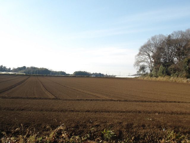 320 sqm Sloping Land for Sale in Tsukuba, Ibaraki - Thumbnail 2