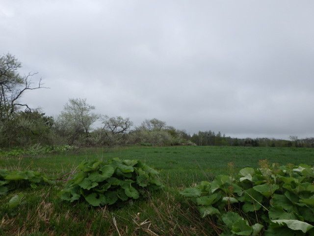 483 sqm Vacant Land for Sale in Kitahiroshima, Hokkaido - Thumbnail 4