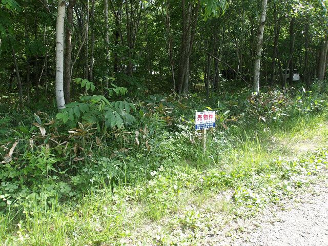 483 sqm Vacant Land for Sale in Kitahiroshima, Hokkaido - Thumbnail 3