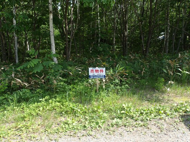483 sqm Vacant Land for Sale in Kitahiroshima, Hokkaido - Thumbnail 2