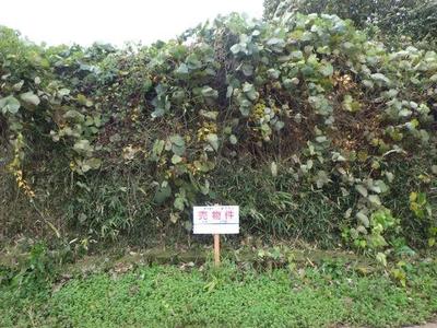 198 sqm Vacant Land for Sale in Midori Ward, Chiba City — Land, Midori, Chiba