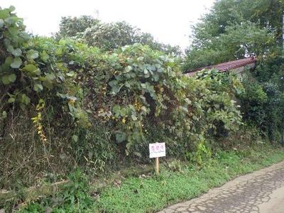 198 sqm Vacant Land for Sale in Midori Ward, Chiba City — Land, Midori, Chiba