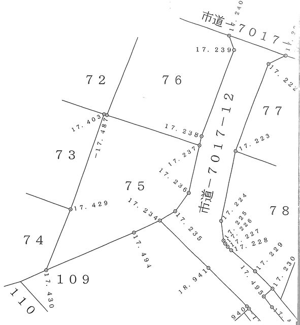 302 sqm Building Lot for Sale in Hitachi, Ibaraki - Thumbnail 3