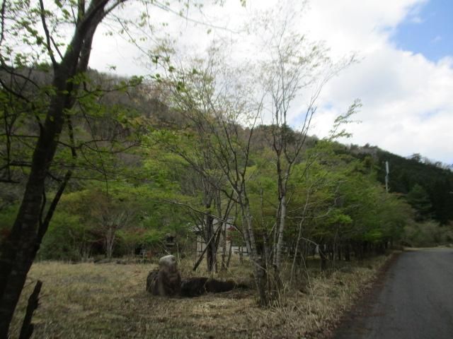 4LDK Single-Story House on Large Land Plot in Tsuyama, Okayama - Image 11