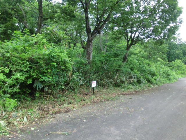 600 sqm Land for Sale in Myoko City, Niigata - Thumbnail 3
