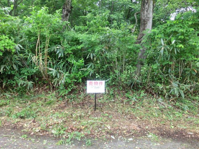 600 sqm Land for Sale in Myoko City, Niigata - Thumbnail 4