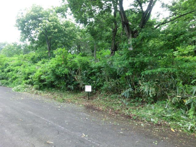 600 sqm Land for Sale in Myoko City, Niigata - Thumbnail 2