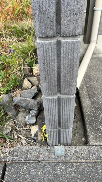 Residential Land for Sale in Hanyu, Saitama - 141 sqm Plot - Thumbnail 3