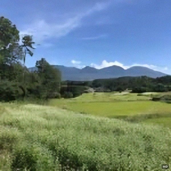 Forest Land for Sale on Nagano's Mimakihara Plateau - Thumbnail 3