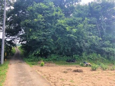 Forest Land for Sale on Nagano's Mimakihara Plateau - Thumbnail 2