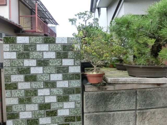 6DK Single-Story House for Sale in Tachikawa, Tokyo - Thumbnail 3