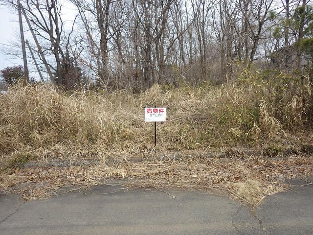 Land for Sale in Hokota City, Ibaraki - 362 sqm Corner Lot - Thumbnail 4