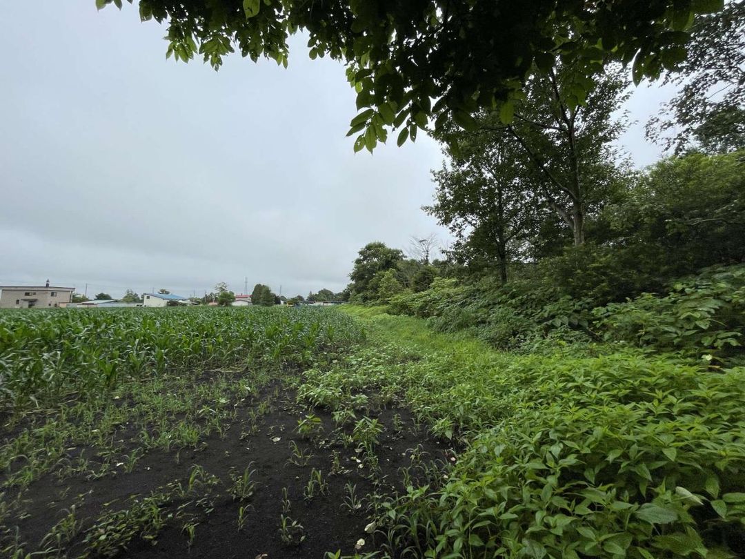 Land for Sale in Eniwa, Hokkaido - 1956 sqm Plot - Thumbnail 4