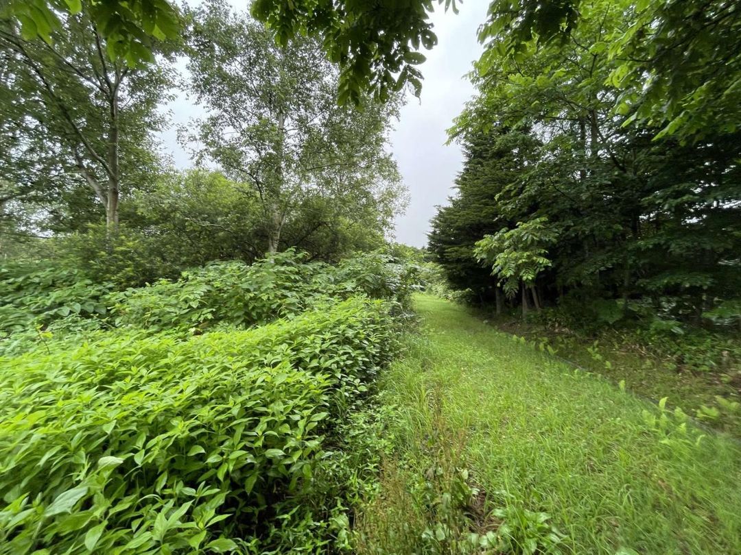 Land for Sale in Eniwa, Hokkaido - 1956 sqm Plot - Thumbnail 2