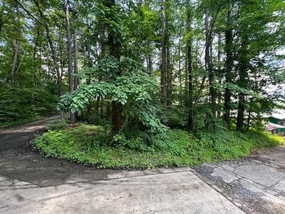 800m2 land in Kikyogaoka Pension Village: villas, real estate, properties for sale, Hometown Information Center: Nationwide rural living property data — Land, Katashina, Gunma