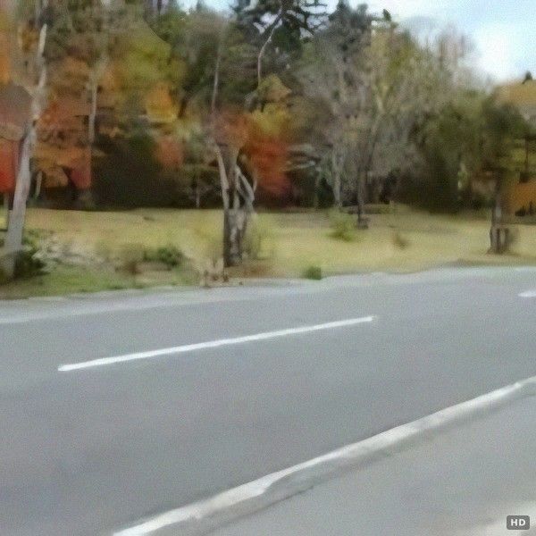 Land for Sale in Kawayu Onsen, Teshikaga with Onsen Source - Thumbnail 3