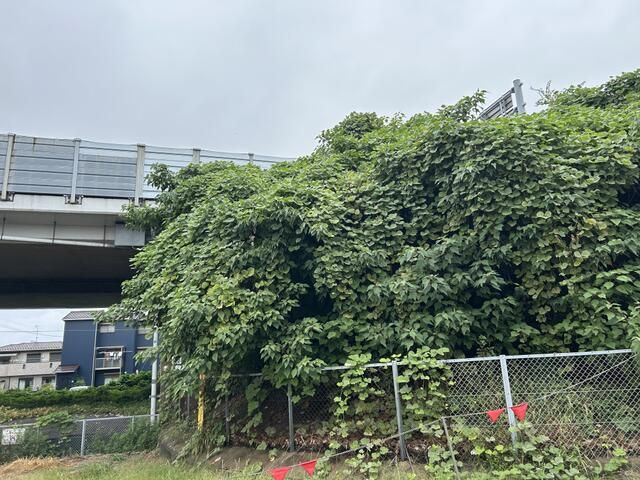 2020 Built 4LDK House with 2 Car Parks in Iwakura, Aichi - Thumbnail 4