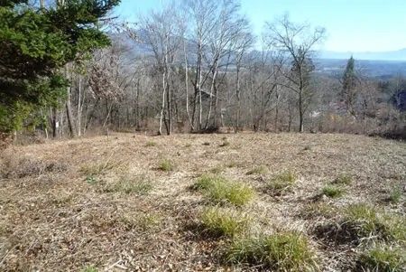 Land for Sale in Fujimi Nagano with Yatsugatake Mountain Views - Thumbnail 2