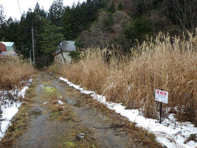 Vacant Residential Land for Sale in Kuroishi, Aomori - Thumbnail 2