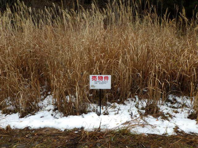 Vacant Residential Land for Sale in Kuroishi, Aomori - Thumbnail 4