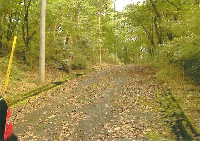 358 sqm Vacant Land for Sale in Nasu Town, Tochigi - Thumbnail 3