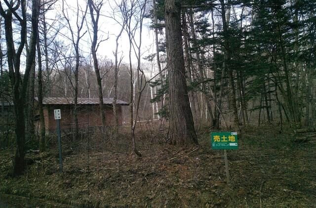 Land for Sale in Nagano City within Myoko-Togakushi National Park - Thumbnail 4
