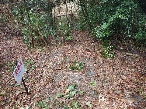 Land for Sale in Ichihara City, Chiba Prefecture - 546 sqm Plot - Thumbnail 2