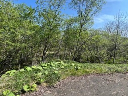 Land for Sale in Shibecha, Hokkaido - 118,767 sqm Near Lake Tōro - Thumbnail 2