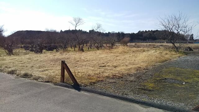 Land for Sale in Tsuchiura, Ibaraki - 389 sqm - Thumbnail 3