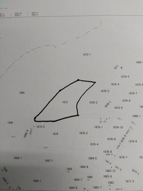 995 sqm Land for Sale in Sagamihara, Kanagawa - Parking Lot Potential - Thumbnail 4