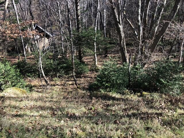 870 sqm Forest Land for Sale in Ueda, Nagano - Villa Potential - Thumbnail 2