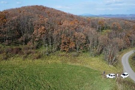19 Hectare Land for Sale in Teshikaga, Hokkaido - Pastoral Setting - Thumbnail 3