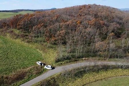 19 Hectare Land for Sale in Teshikaga, Hokkaido - Pastoral Setting - Thumbnail 2