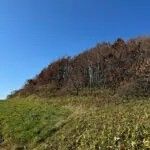 19 Hectare Land for Sale in Teshikaga, Hokkaido - Pastoral Setting - Thumbnail 4